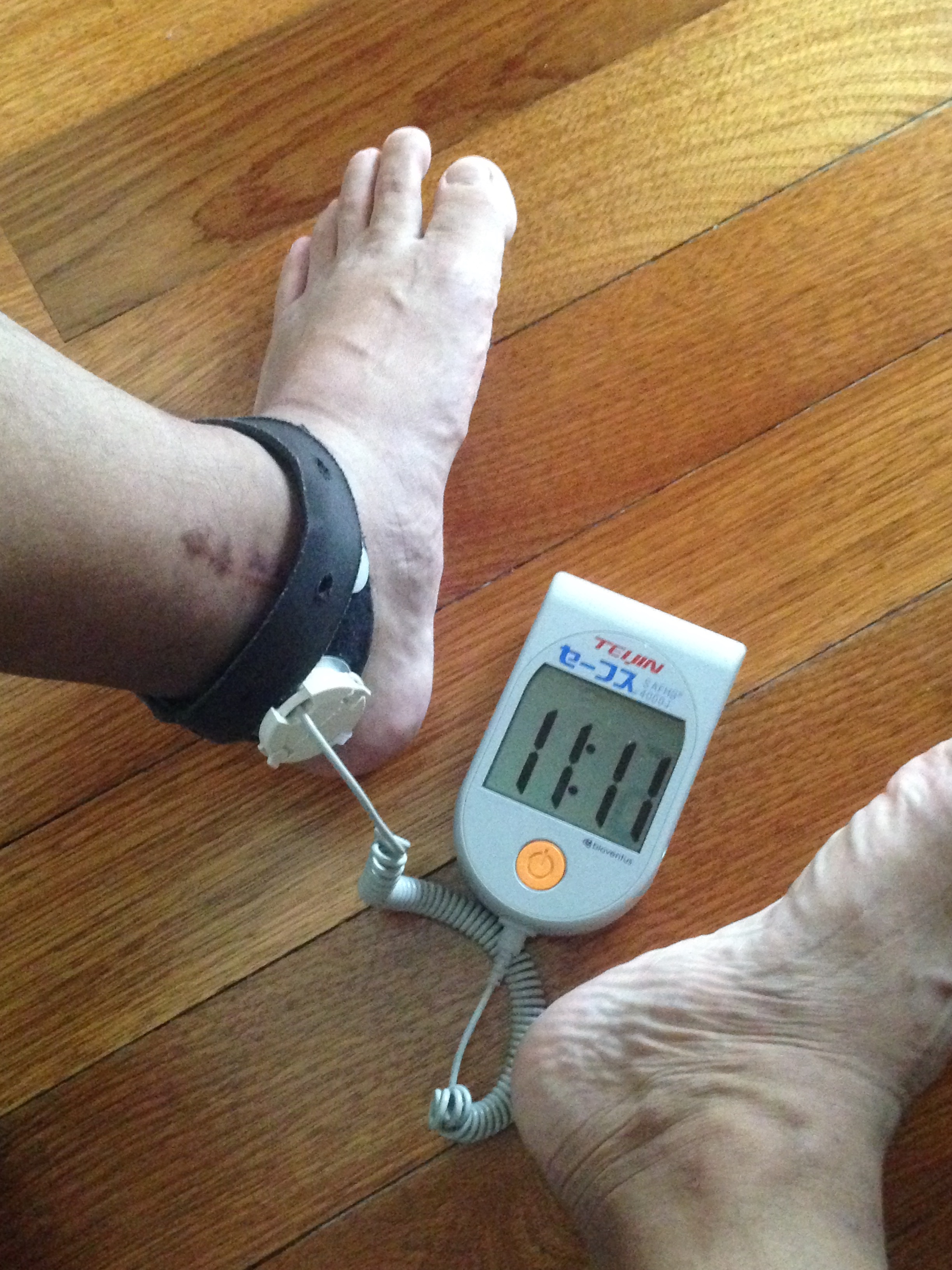 セーフスの様子